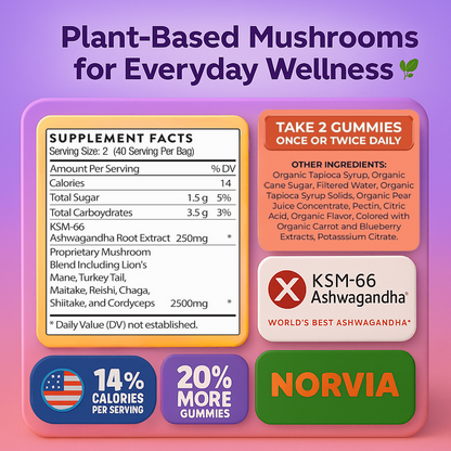 Mushroom Gummies